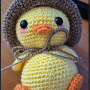 🐣🐥Pollito Campestre🐤
